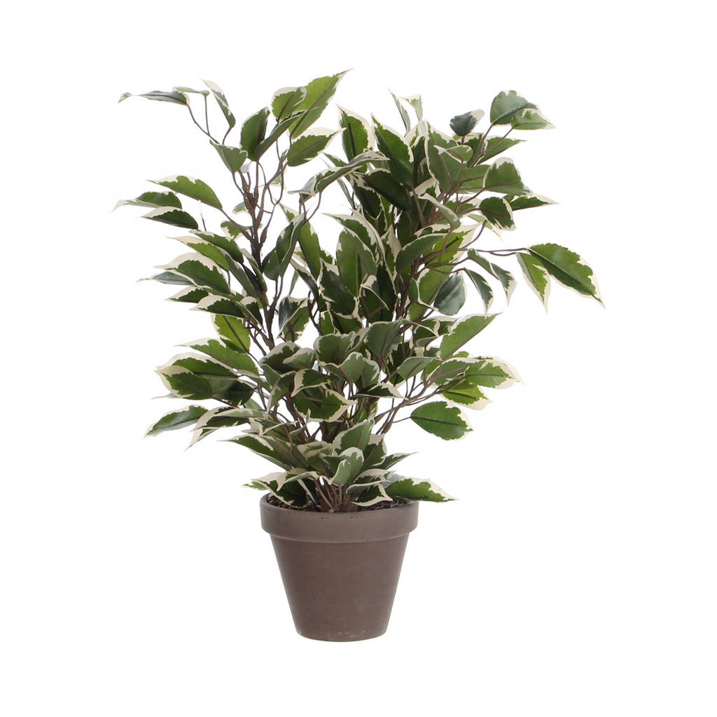 Mica Decorations Kunstplant, Groen