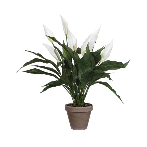 Mica Kunstplant Spathiphyllum H50 Cm mica kopen in de aanbieding Mica Kunstplant Spathiphyllum H50 Cm mica kopen in de aanbieding