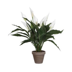 kunstplant Spathiphyllum (h50 cm)