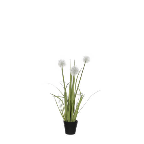Mica Kunstgras Dandelion H53 Cm mica kopen in de aanbieding Mica Kunstgras Dandelion H53 Cm mica kopen in de aanbieding