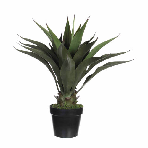 Mica Kunstplant Agave H60 Cm mica kopen in de aanbieding Mica Kunstplant Agave H60 Cm mica kopen in de aanbieding