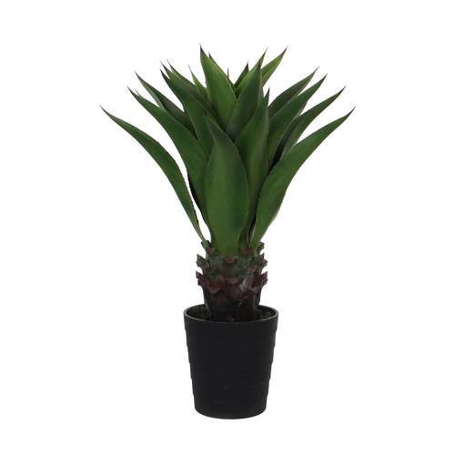 Mica Kunstplant Agave H80 Cm mica kopen in de aanbieding Mica Kunstplant Agave H80 Cm mica kopen in de aanbieding