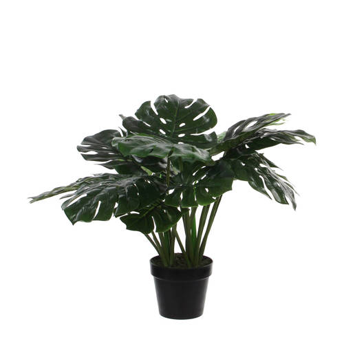 Mica Kunstplant Monstera H60 Cm mica kopen in de aanbieding Mica Kunstplant Monstera H60 Cm mica kopen in de aanbieding
