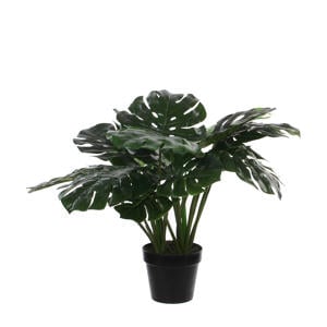 kunstplant