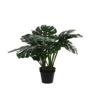 thumbnail: Mica Decorations kunstplant