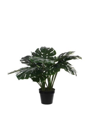 kunstplant