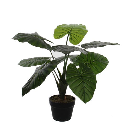 Mica Kunstplant Taro H60 Cm mica kopen in de aanbieding Mica Kunstplant Taro H60 Cm mica kopen in de aanbieding