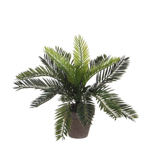 Mica Kunstplant Cycas Palm H33 Cm mica kopen in de aanbieding Mica Kunstplant Cycas Palm H33 Cm mica kopen in de aanbieding