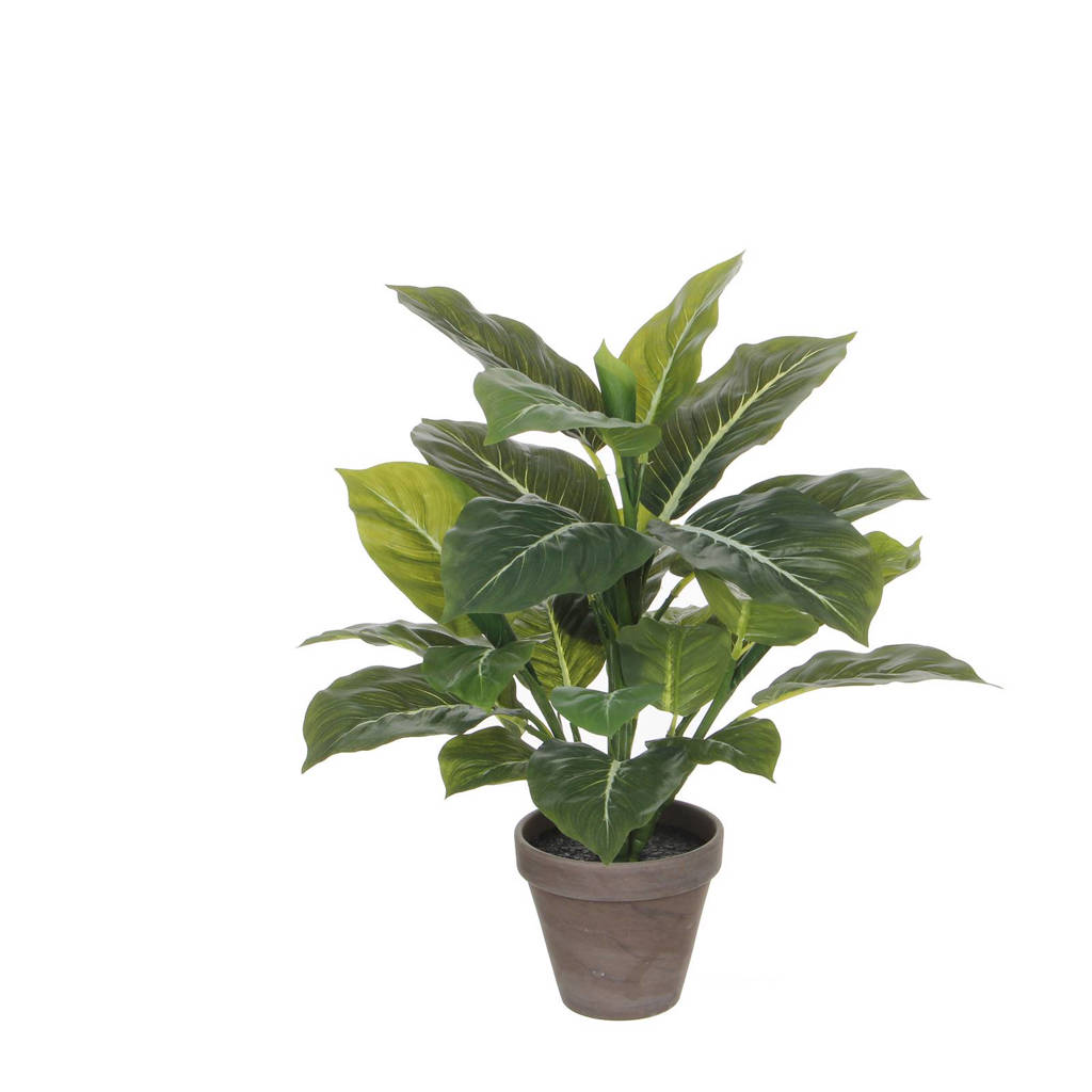 Mica Decorations Kunstplant, Groen