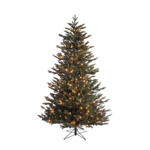 Wehkamp Black Box Trees verlichte kerstboom Macallan (h185 x ø127 cm) aanbieding