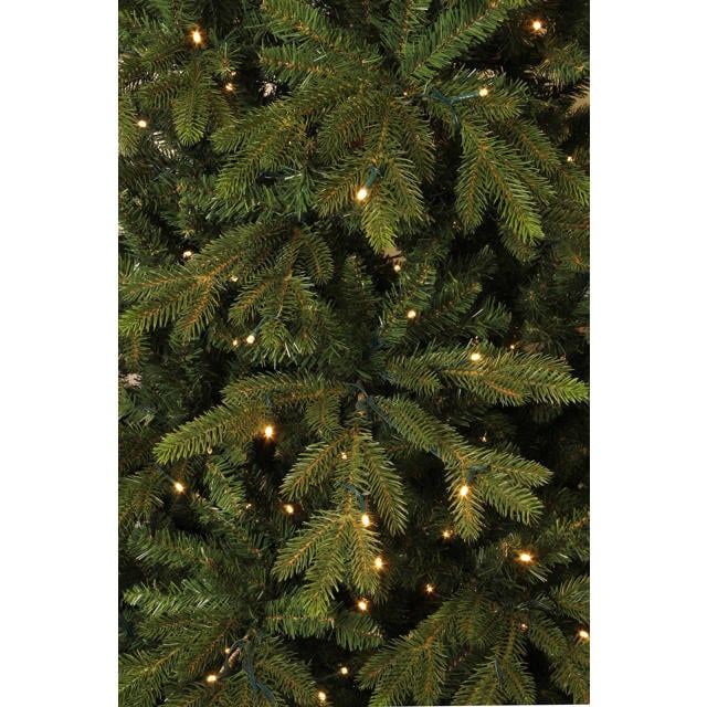Black Box Trees verlichte kerstboom Macallan (h215 x ø137 cm