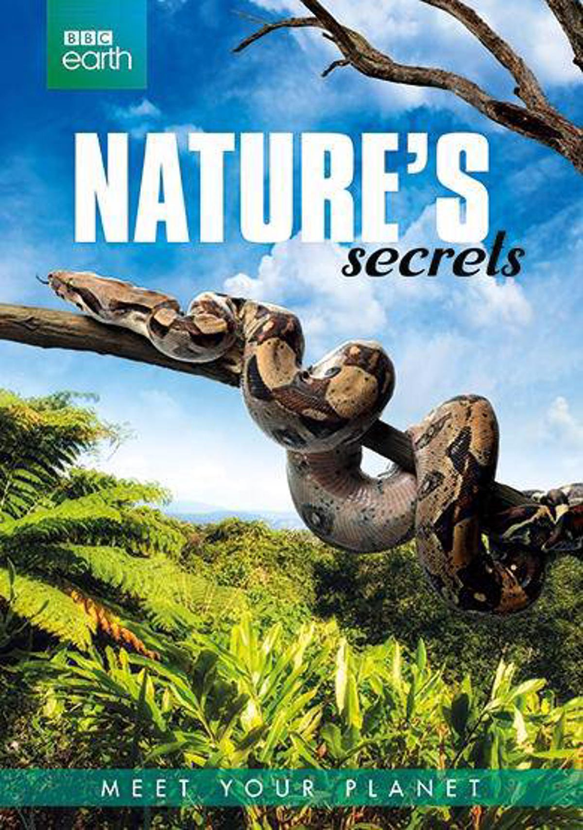 BBC Earth Nature's Secrets (DVD) wehkamp