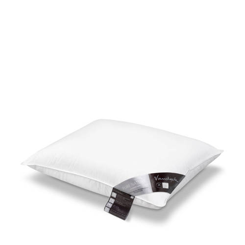 Wehkamp Vandyck donzen hoofdkussen stevig (Pure Nature) (60x70 cm) aanbieding