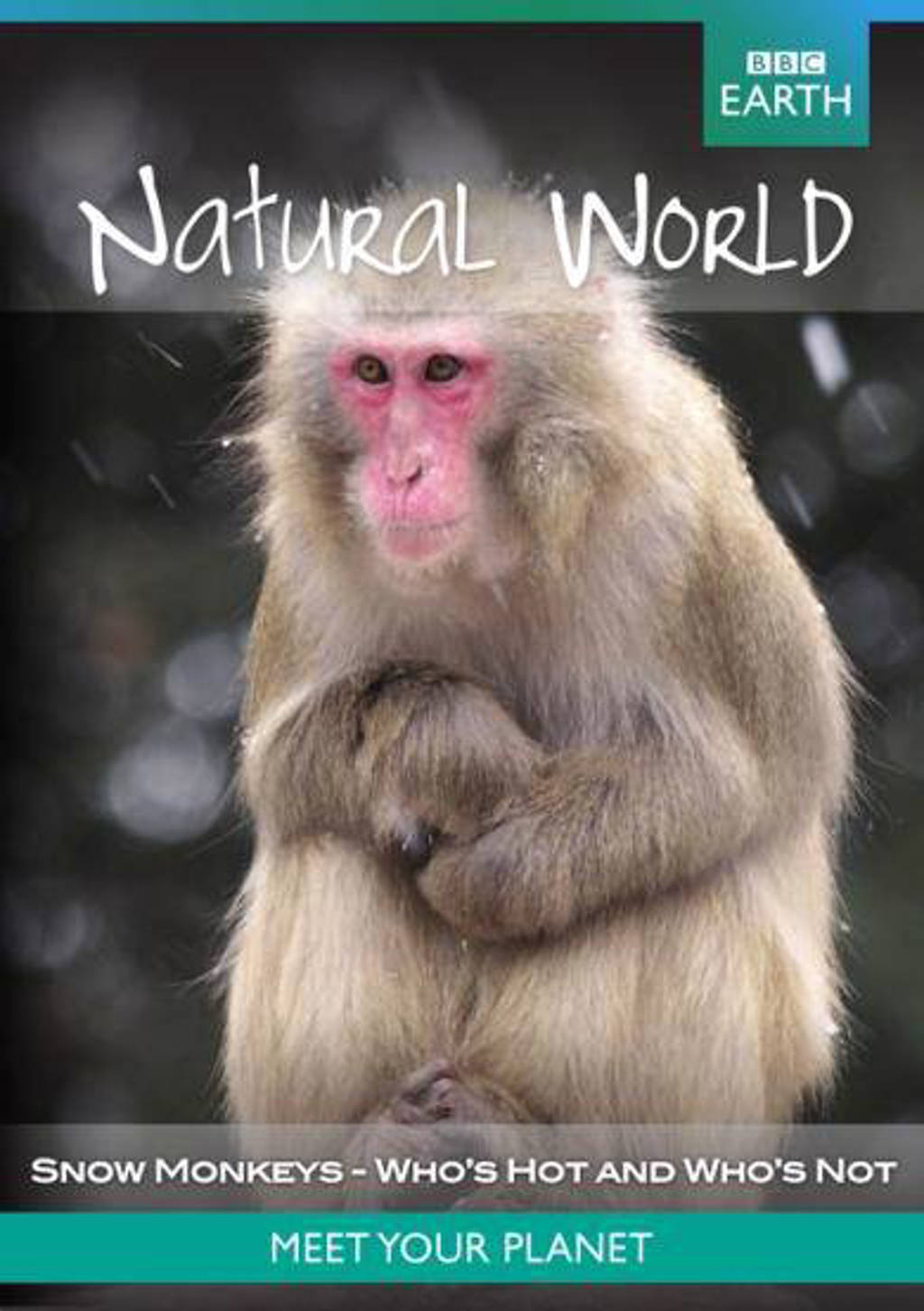 BBC earth - Natural world natural world collection snow monkeys (DVD)