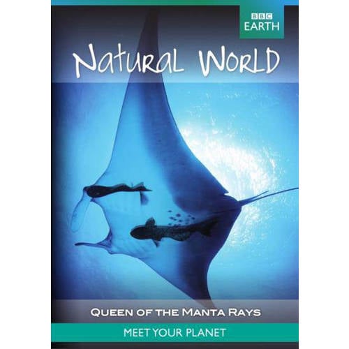 Bbc Earth Natural World Collection Queen Of The Manta Rays Dvd huismerk kopen in de aanbieding