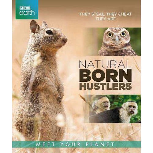 Bbc Earth Natural Born Hustlers Blu Ray huismerk kopen in de aanbieding Bbc Earth Natural Born Hustlers Blu Ray huismerk kopen in de aanbieding