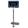 Lifetime Buzz Beater basketbal dunk