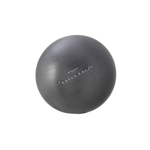 Stanno Fitness Ball 65 stanno kopen in de aanbieding Stanno Fitness Ball 65 stanno kopen in de aanbieding