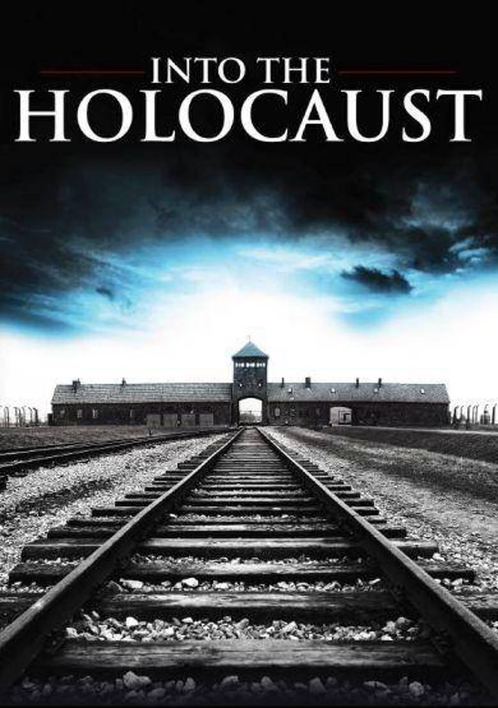 Into the holocaust (DVD)