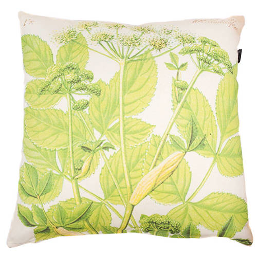 Mood Collection Kussenhoes Engelwortel 50X50 Cm in the mood collection kopen in de aanbieding