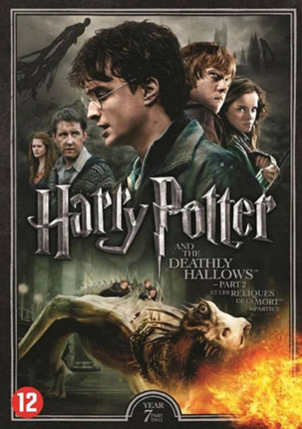 Harry Potter jaar 7 - De relieken van de dood 2 (DVD)