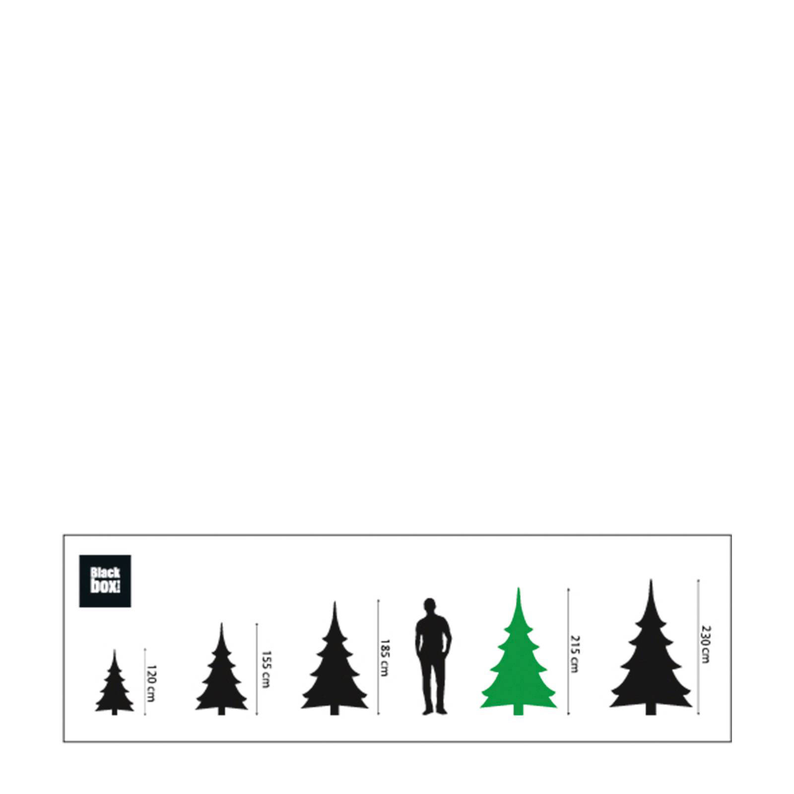 Black Box verlichte kerstboom Kingston (h215 x ø117cm) | wehkamp Black Box verlichte kerstboom Kingston (h215 x ø117cm) | wehkamp