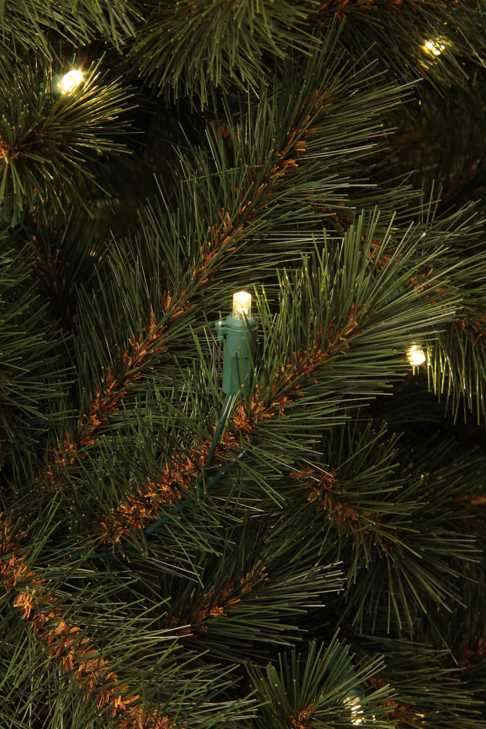 Black Box verlichte kerstboom Kingston (h230 x ø125 cm) | wehkamp Black Box verlichte kerstboom Kingston (h230 x ø125 cm) | wehkamp