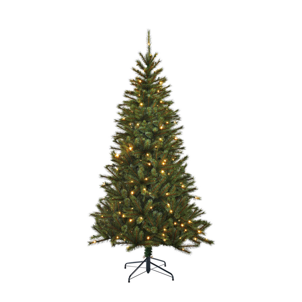 Black Box Trees verlichte kerstboom Kingston (h230 x ø125 cm)