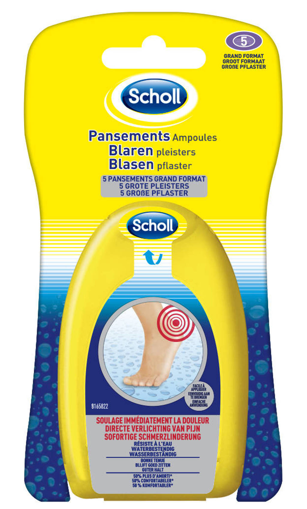 Scholl Blarenpleister Hiel