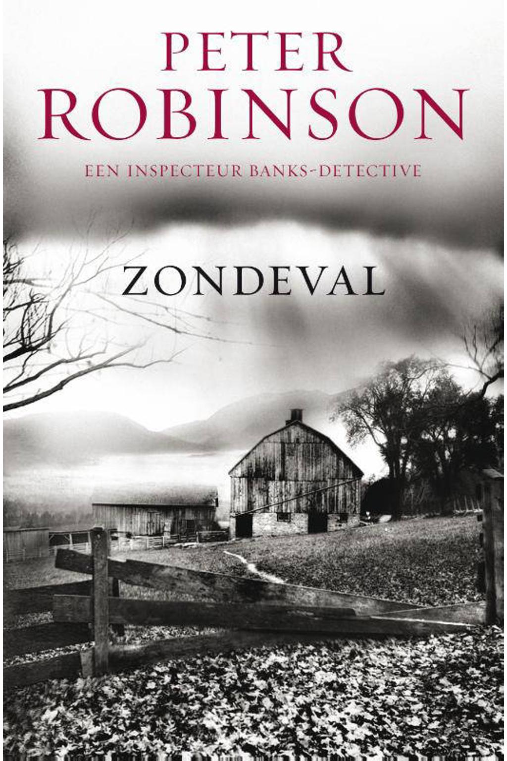 Peter Robinson Dci Banks | Peter Robinson – PFPLCP