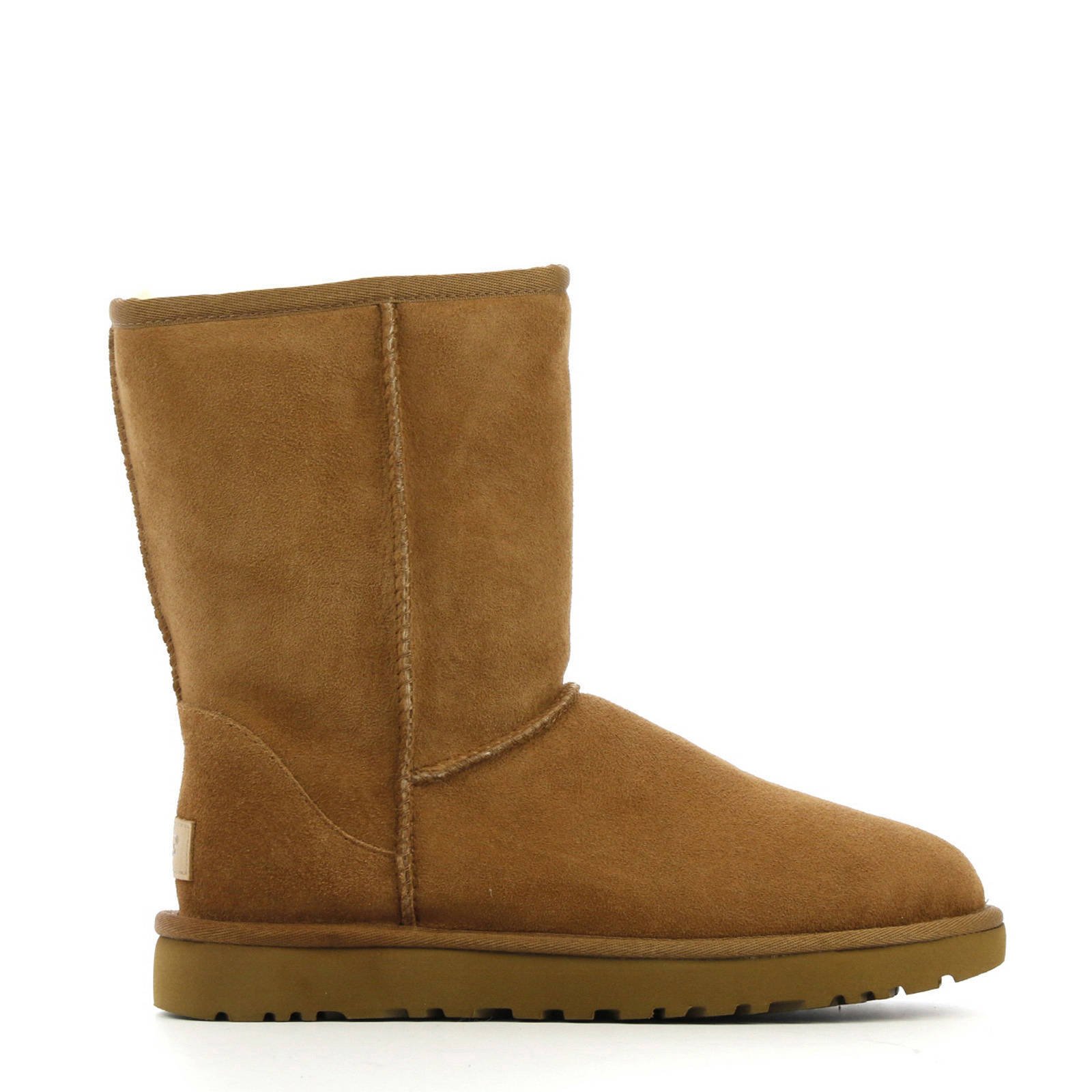uggs bruin