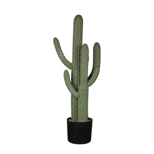 Mica Kunstplant Cactus H85 Cm mica kopen in de aanbieding Mica Kunstplant Cactus H85 Cm mica kopen in de aanbieding