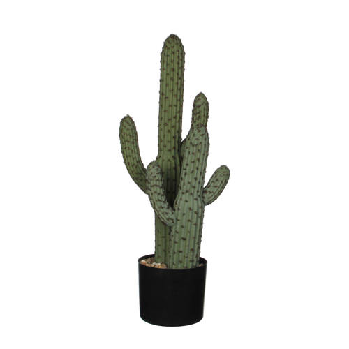 Mica Kunstplant Cactus H60 Cm mica kopen in de aanbieding Mica Kunstplant Cactus H60 Cm mica kopen in de aanbieding