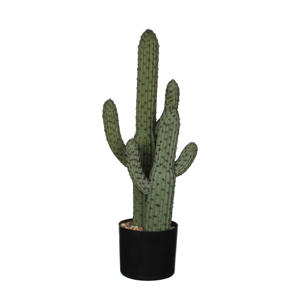 kunstplant Cactus (h60 cm)