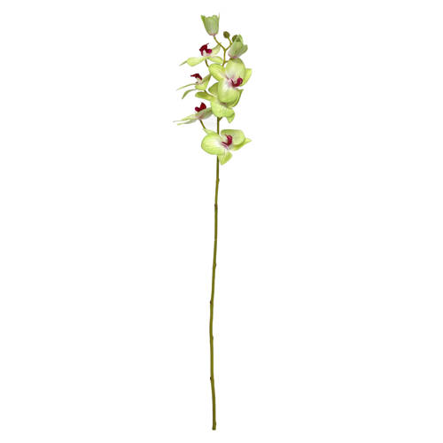 Hk Living Hkliving Kunstplant Orchidee hk living kopen in de aanbieding