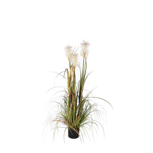 Mica Kunstgras Foxtail Pluimgras H120 Cm mica kopen in de aanbieding Mica Kunstgras Foxtail Pluimgras H120 Cm mica kopen in de aanbieding