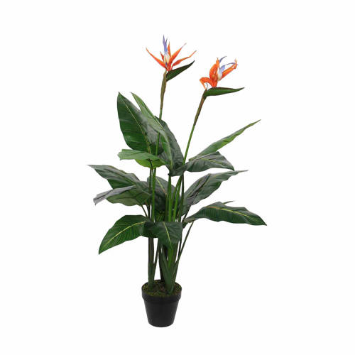 Mica Kunstplant Strelitzia H110 Cm mica kopen in de aanbieding Mica Kunstplant Strelitzia H110 Cm mica kopen in de aanbieding