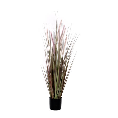 Mica Kunstgras Dogtail H120 Cm mica kopen in de aanbieding Mica Kunstgras Dogtail H120 Cm mica kopen in de aanbieding