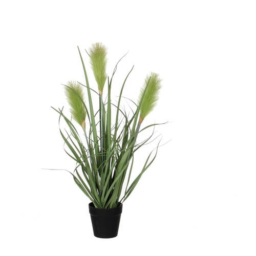 Mica Rieten Kunstgras H53 Cm mica kopen in de aanbieding Mica Rieten Kunstgras H53 Cm mica kopen in de aanbieding