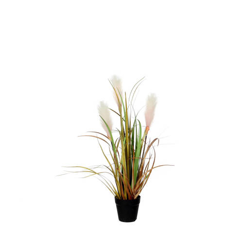 Mica Rieten Kunstgras H53 Cm mica kopen in de aanbieding Mica Rieten Kunstgras H53 Cm mica kopen in de aanbieding