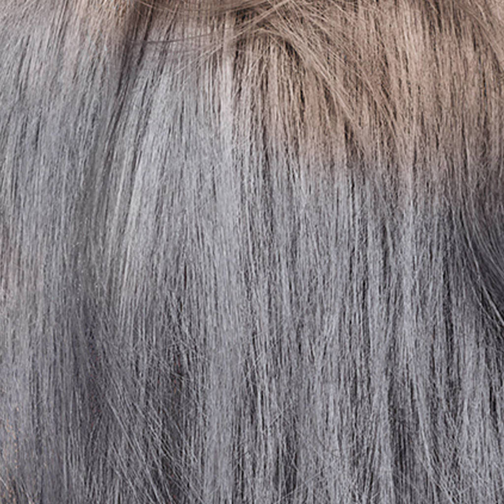 Willen Dokter uit L'Oréal Paris Coloration Colorista Spray 1 dag haarkleuring - grijs |  wehkamp