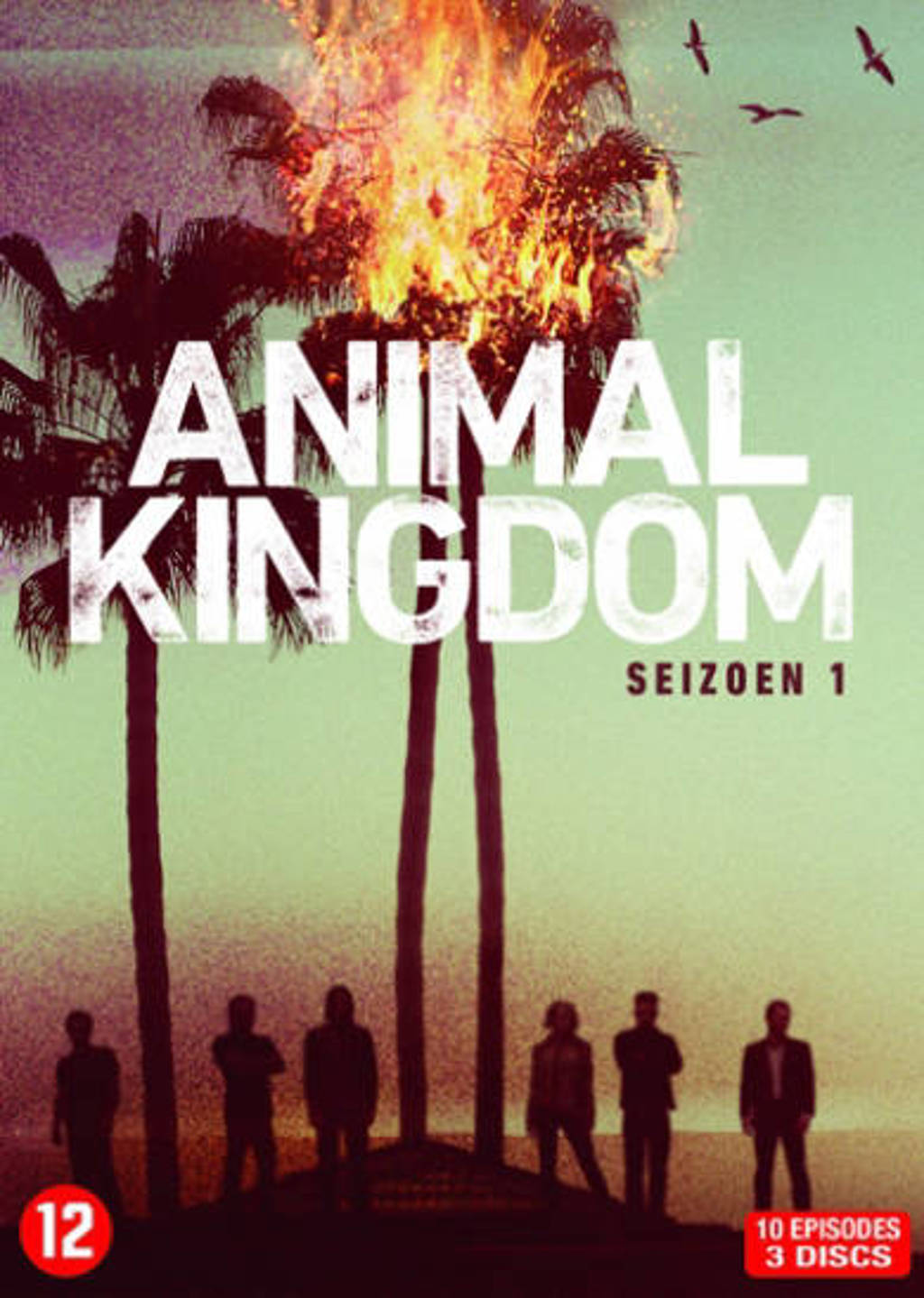 Animal kingdom - Seizoen 1 (DVD)