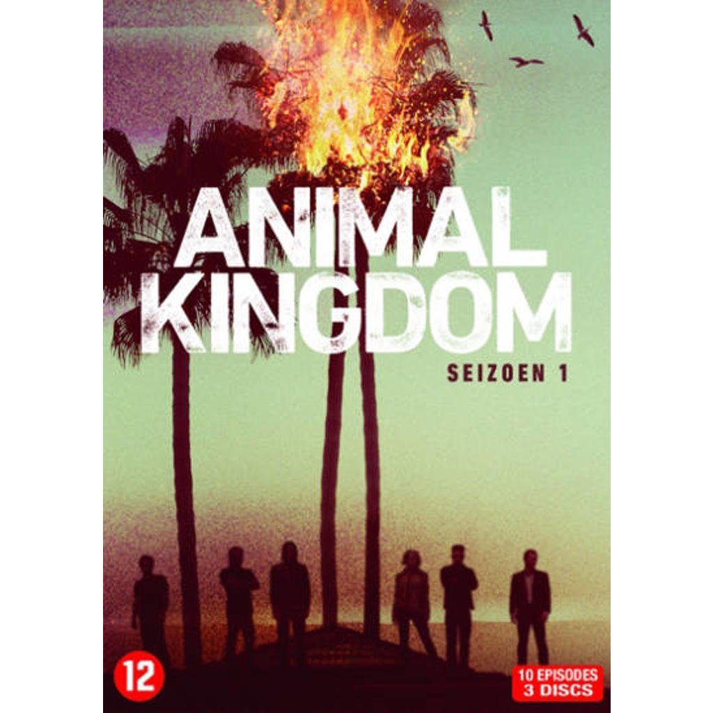Animal Kingdom - Seizoen 1 (DVD)