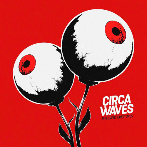 Circa Waves Different Creatures Cd huismerk kopen in de aanbieding Circa Waves Different Creatures Cd huismerk kopen in de aanbieding