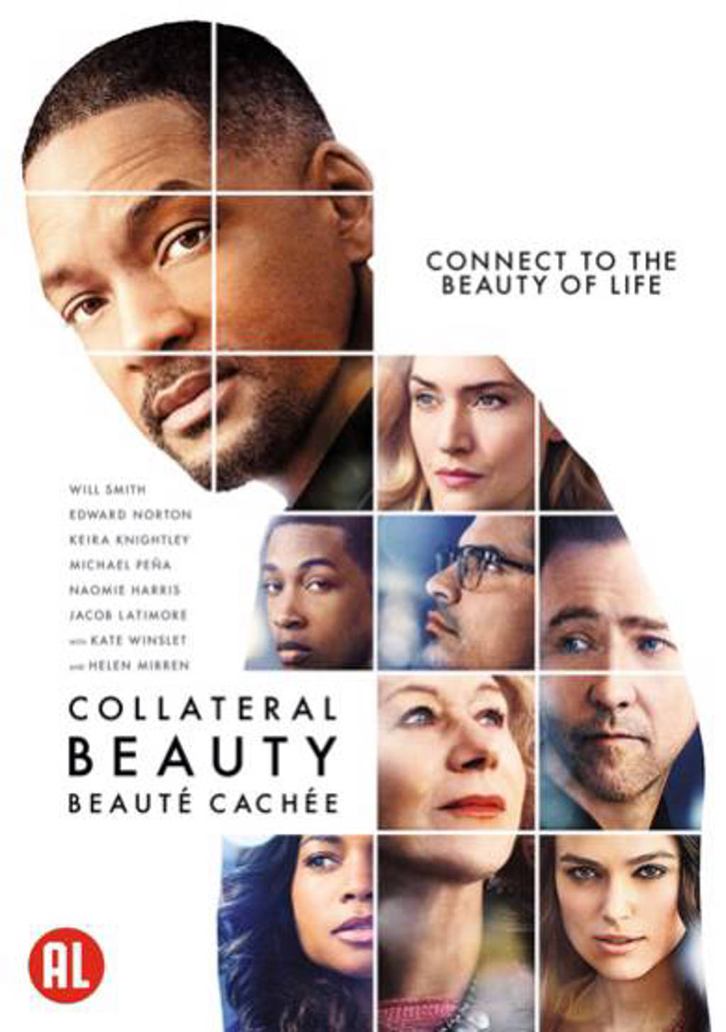 Collateral beauty (DVD)