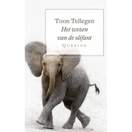 Het Wezen Van De Olifant Toon Tellegen huismerk kopen in de aanbieding