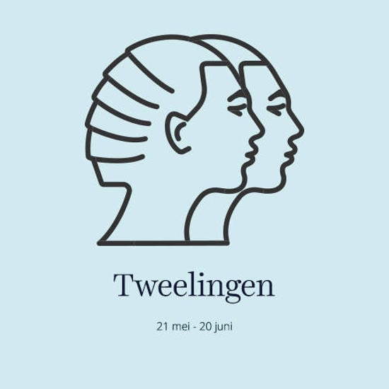 sterrenbeeld Tweelingen