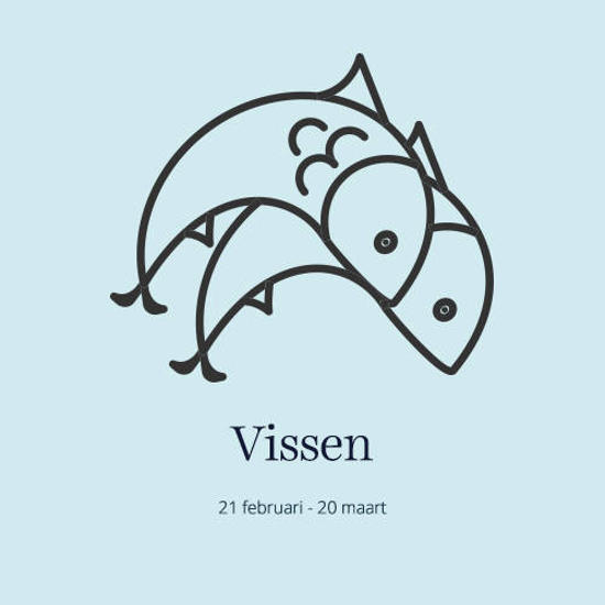 sterrenbeeld Vissen