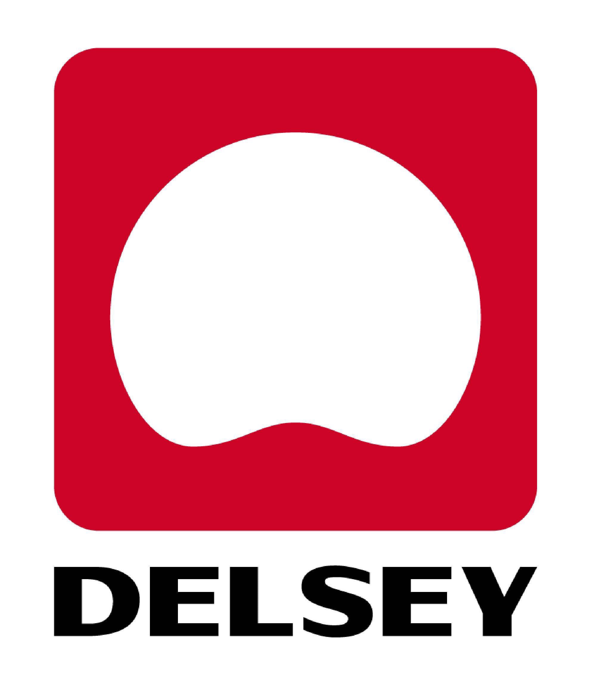 Delsey koffers & reistassen voor dames